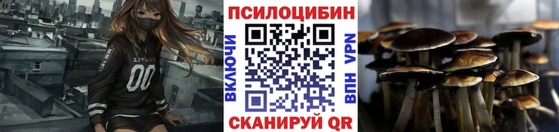 МЕГА маркетплейс Прокопьевск Псилоцибиновые грибы Cubensis